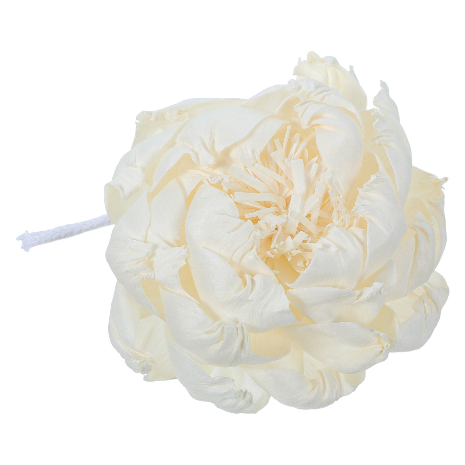 Şakayık Başlı Koku Difüzörü 12 - Home Fragrance Usa incelemesi ve fiyatı