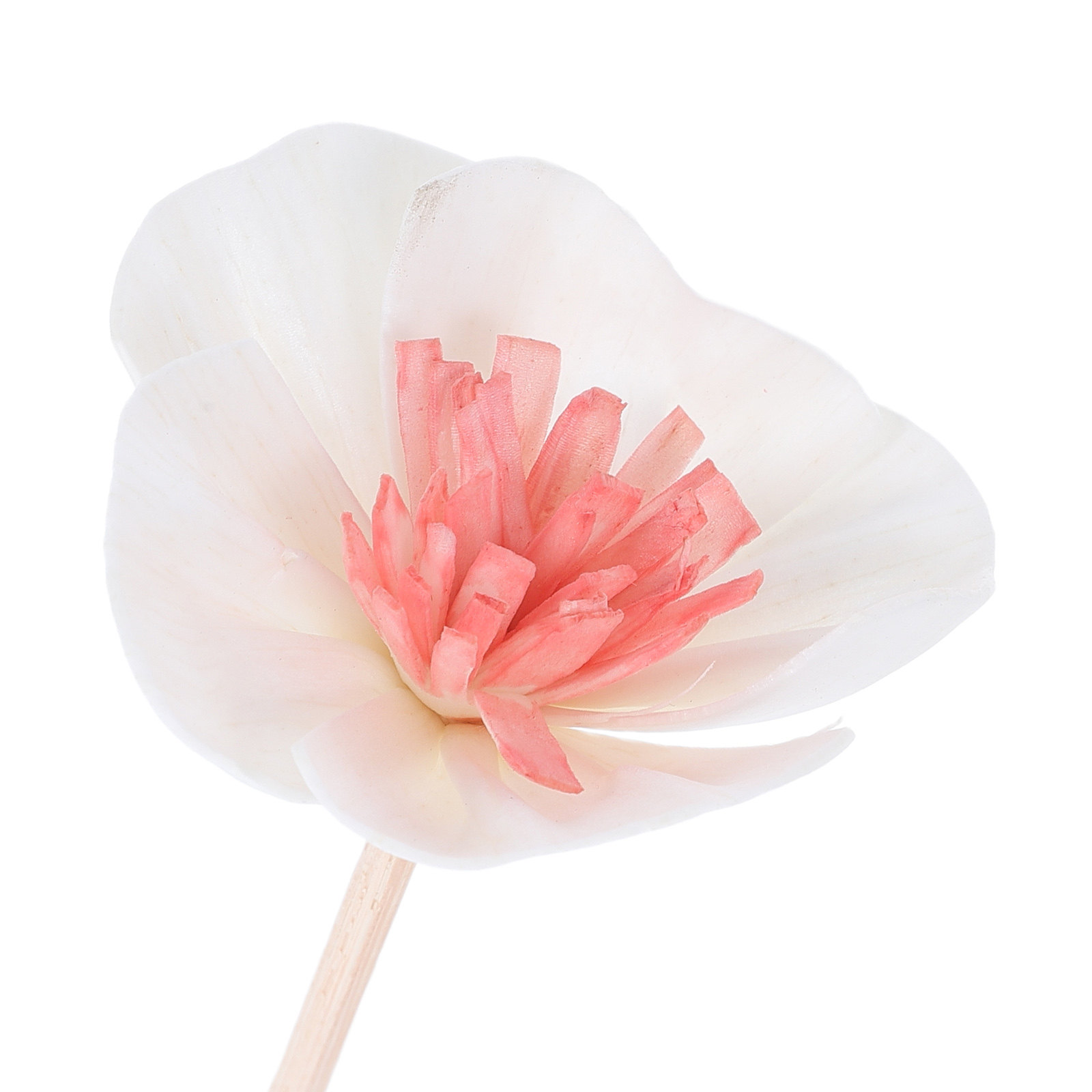 10 Adet Siyah Esans Yağı Difüz - Home Fragrance Usa incelemesi ve fiyatı